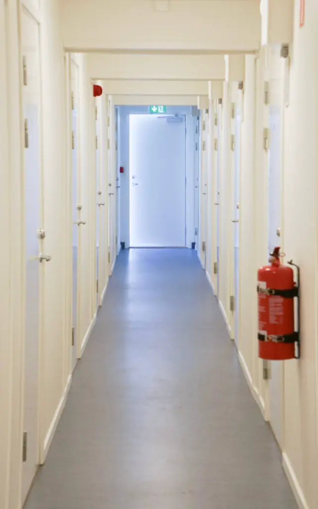 Снимок экрана 2025-08-20 в 10.48.40.webp